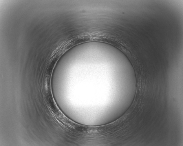 X0000086260740200703291102