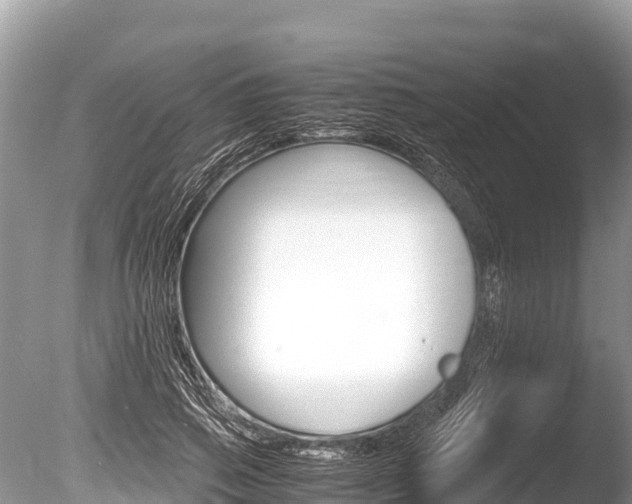 X0000086260741200703291102