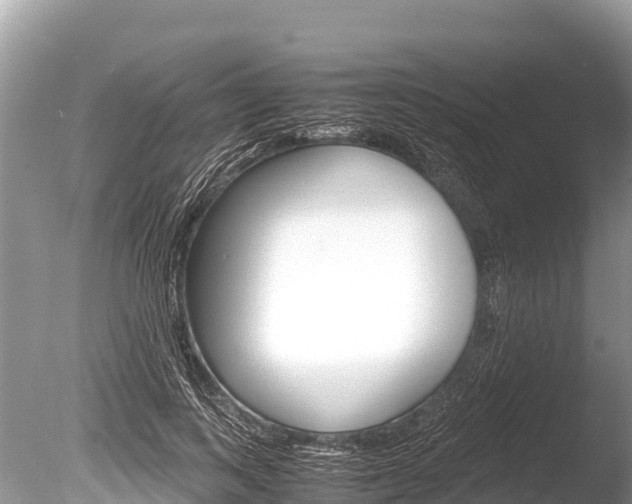 X0000086260743200703291102