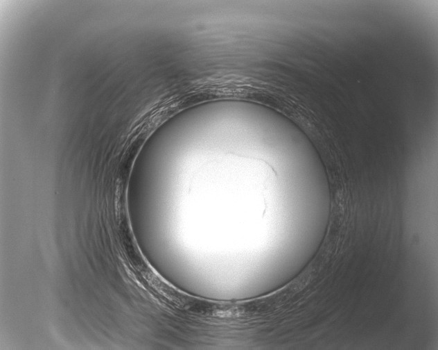 X0000086260744200703291102