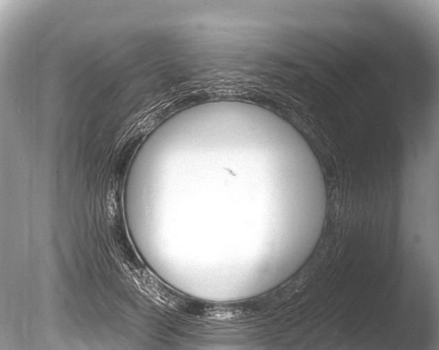X0000086260746200703291102