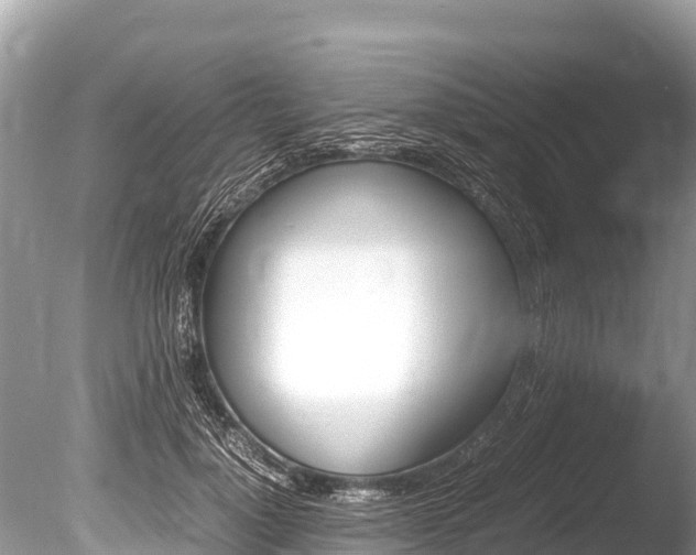 X0000086260748200703291102