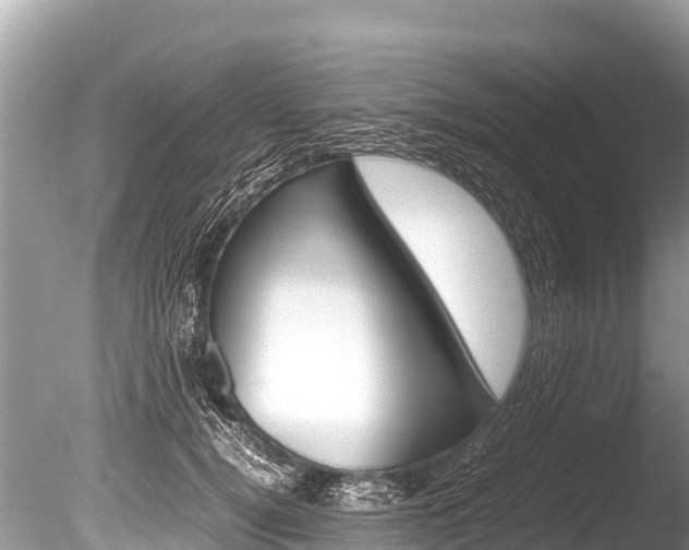 X0000086260752200703291102