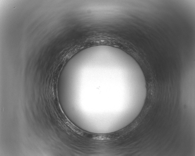 X0000086260754200703291102