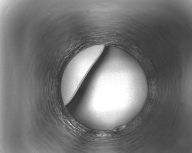 X0000086260760200703291102