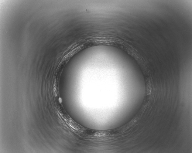 X0000086260764200703291102
