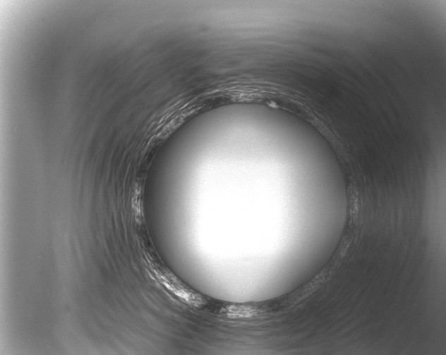 X0000086260766200703291102