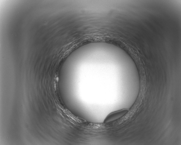 X0000086260768200703291102