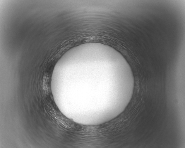 X0000086260770200703291101