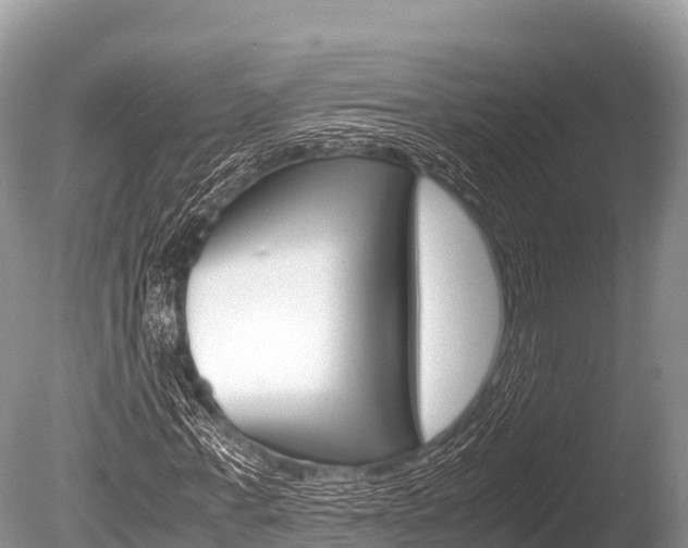 X0000086260771200703291101