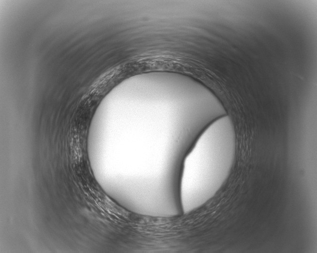 X0000086260774200703291101