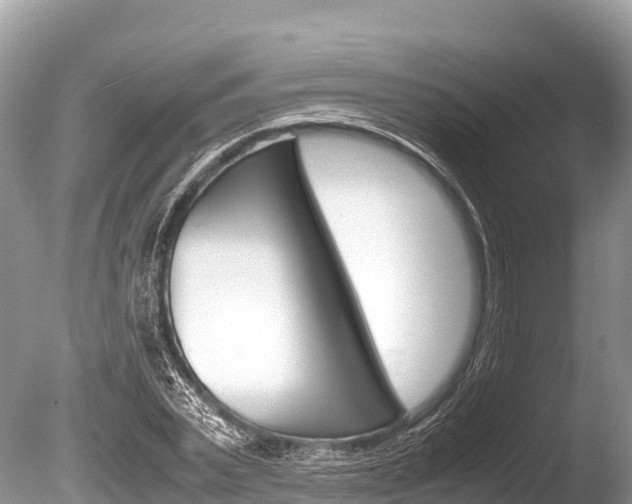 X0000086260783200703291101