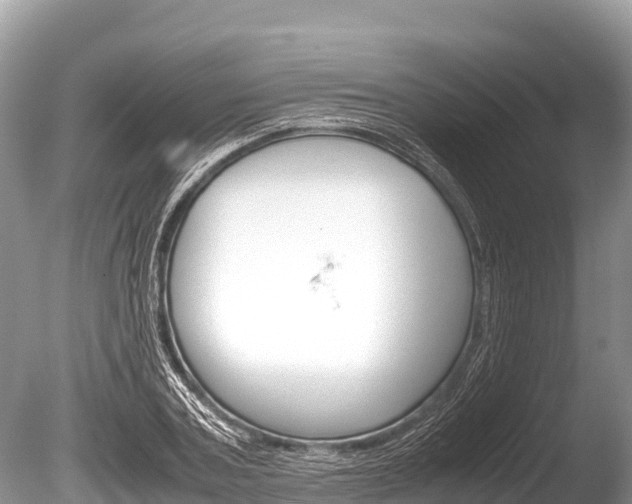 X0000086260787200703291101
