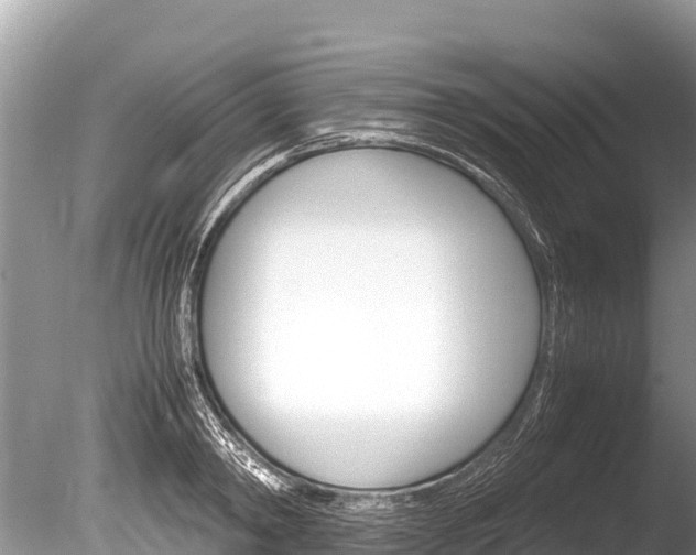 X0000086260798200703291101