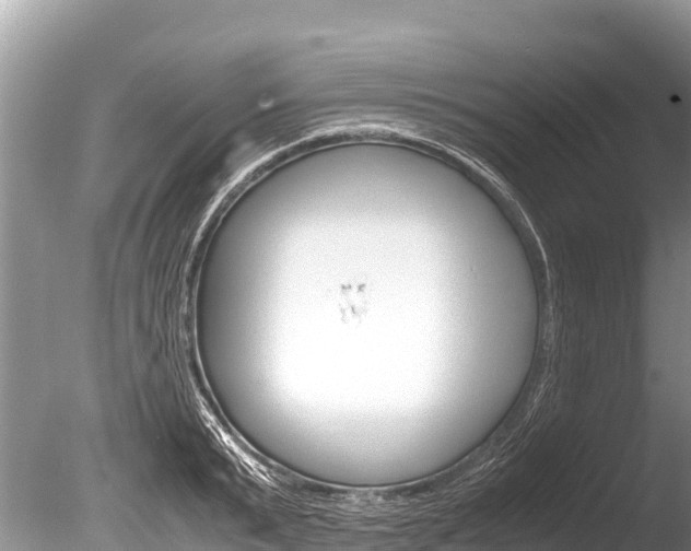 X0000086260799200703291101