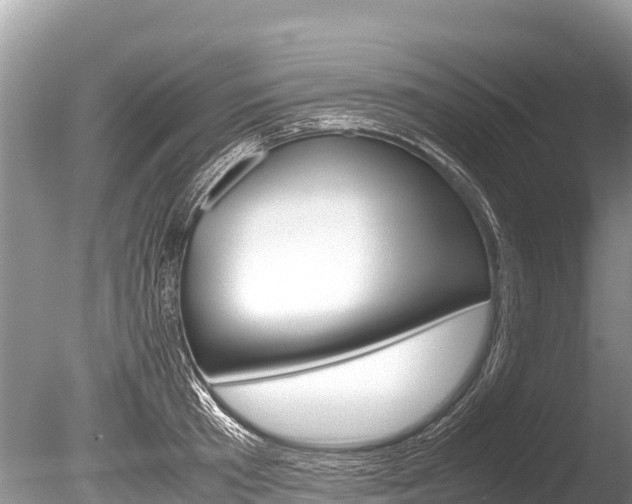 X0000086260801200703291101