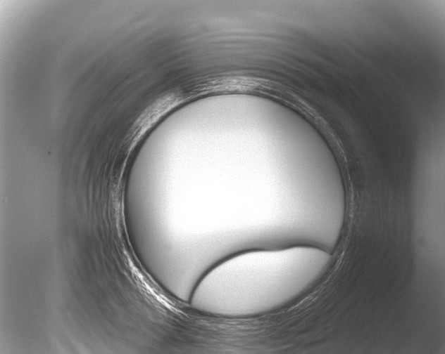 X0000086260802200703291101