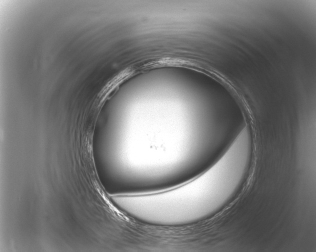 X0000086260809200703291101