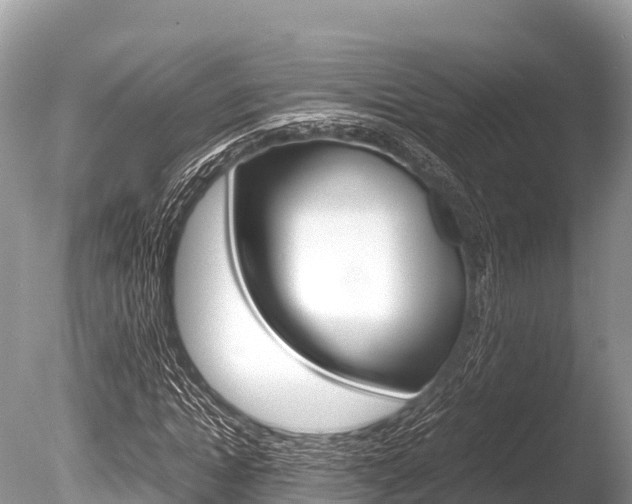 X0000086260822200703291100