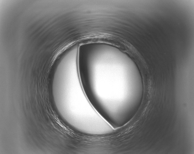 X0000086260826200703291100