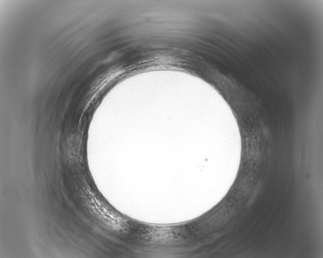 X0000086260828200703291100