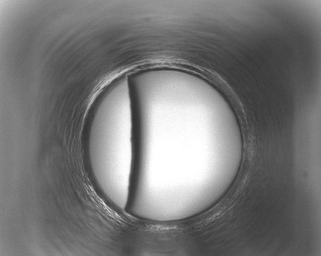 X0000086260831200703291100