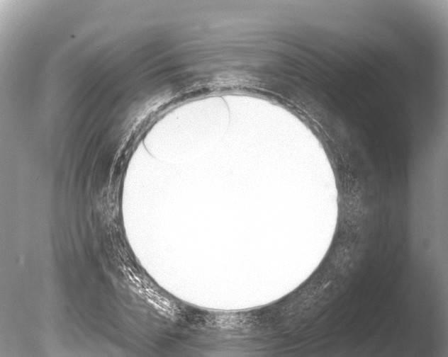 X0000086260832200703291100
