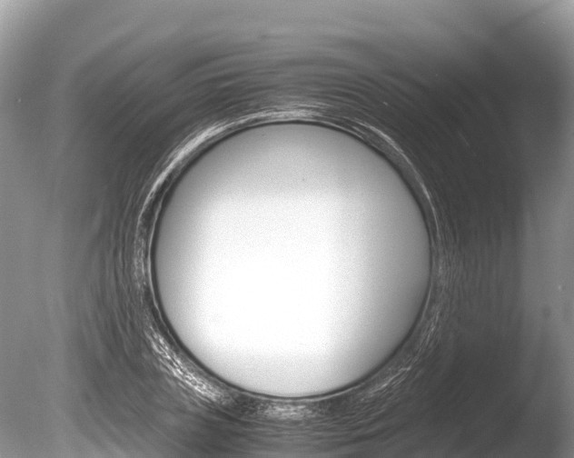 X0000086260835200703291100