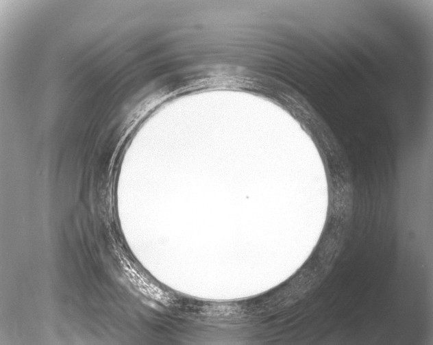 X0000086260836200703291100