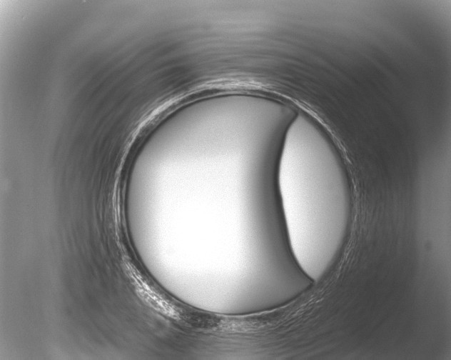 X0000086260840200703291100