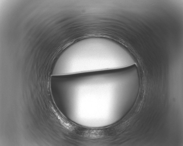 X0000086260841200703291100