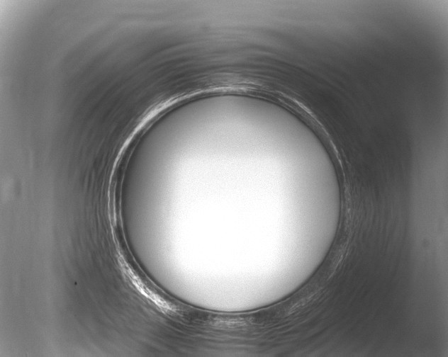 X0000086260843200703291100