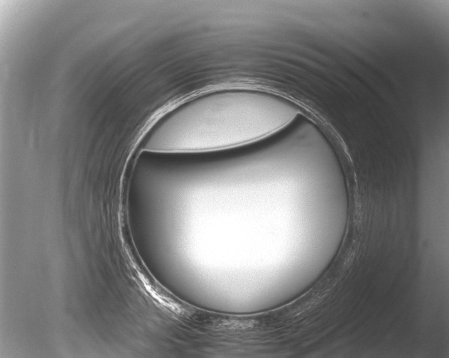 X0000086260845200703291100