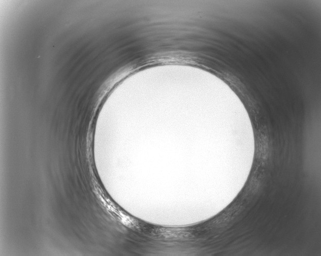 X0000086260856200703291100
