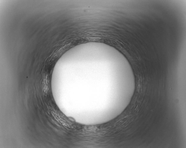 X0000086260866200703291100