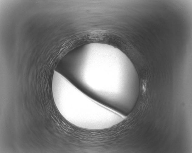 X0000086260867200703291100