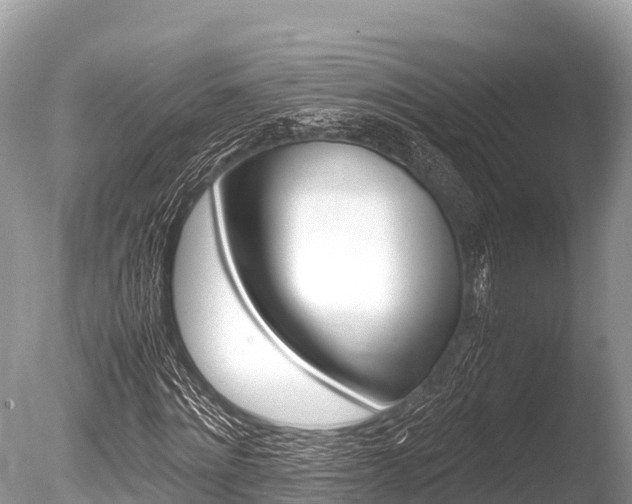 X0000086260868200703291100