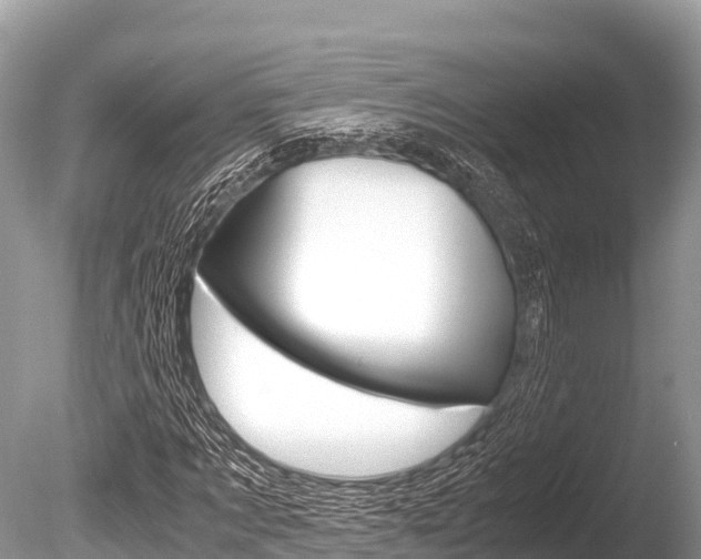 X0000086260869200703291100