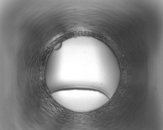 X0000086260870200703291100