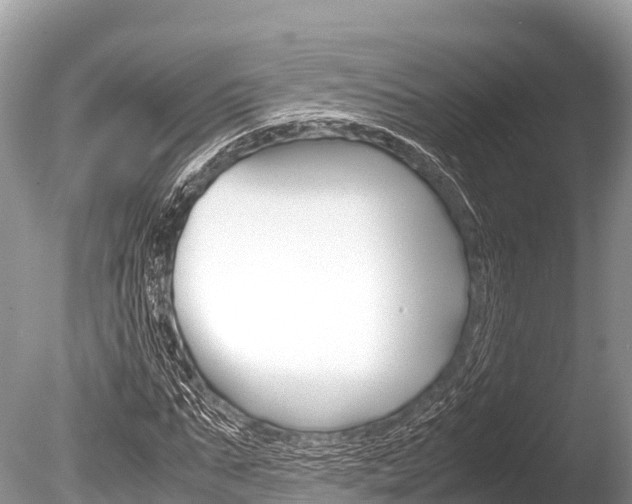 X0000086260871200703291100