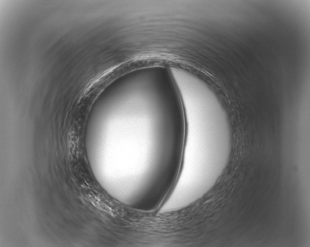 X0000086260872200703291100