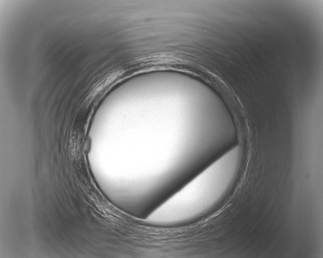 X0000086260873200703291100