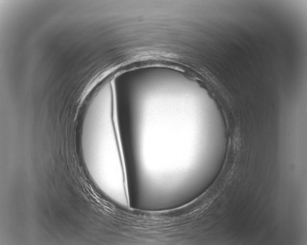 X0000086260877200703291100