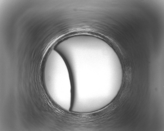 X0000086260879200703291059