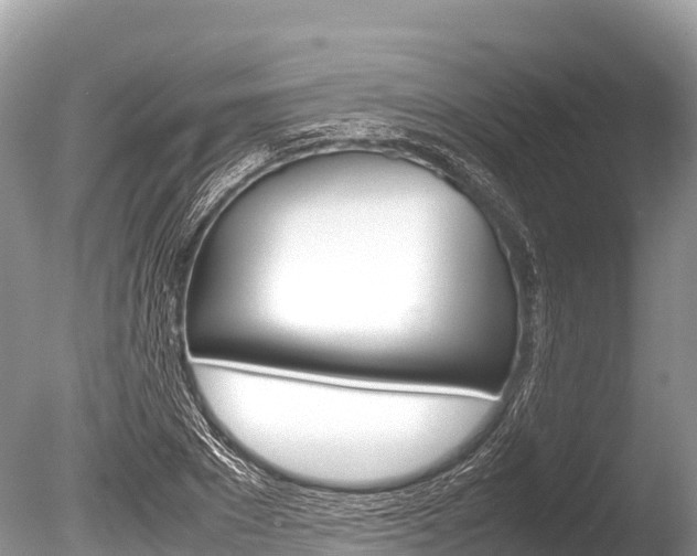 X0000086260881200703291059