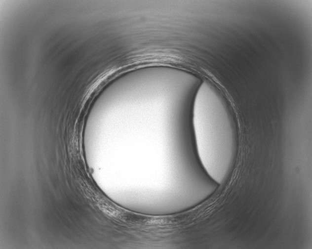 X0000086260883200703291059