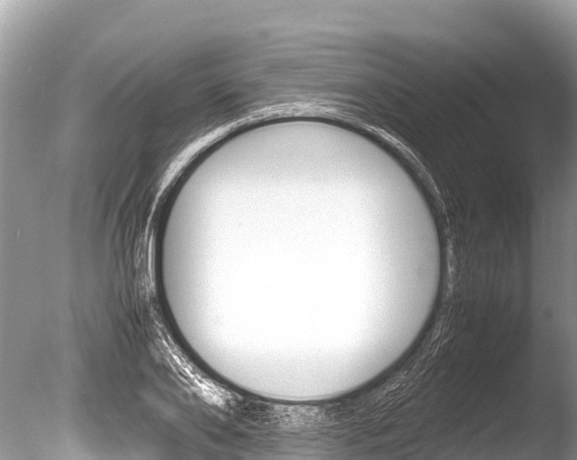 X0000086260886200703291059