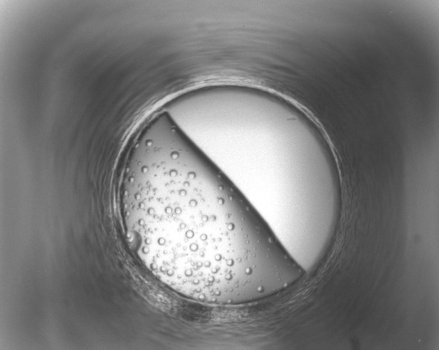 X0000086260887200703291059