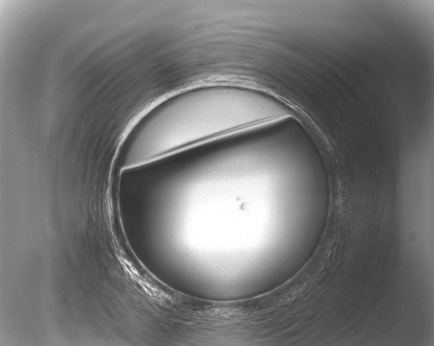 X0000086260888200703291059