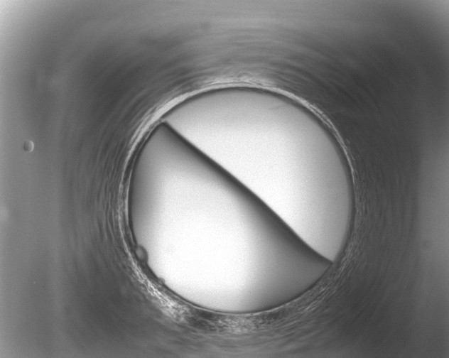 X0000086260895200703291059